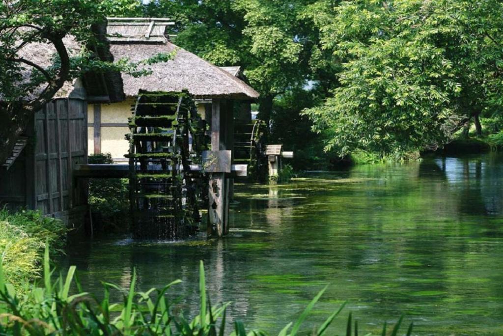 金剛寺 宿坊 成穂院 Matsukawa Bagian luar foto